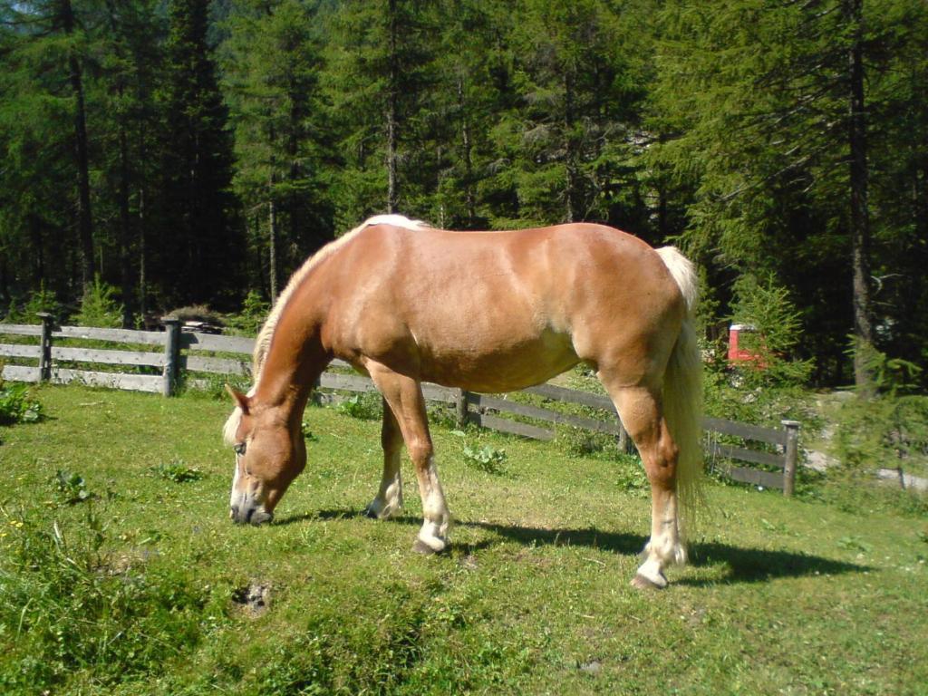 S'Jechlas Sölden Esterno foto